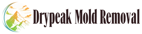 Drypeak Mold Removal